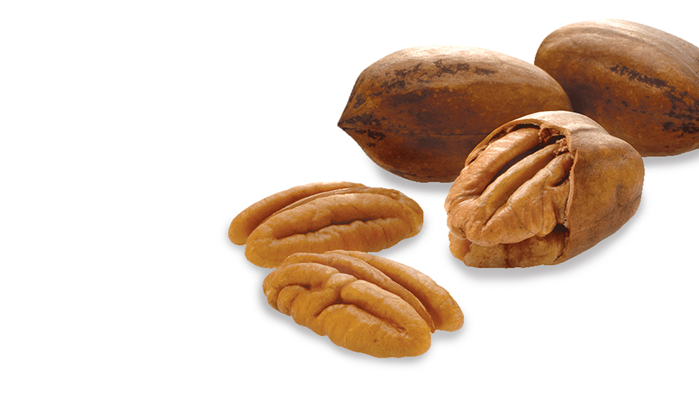 Sanfilippo Nut Experts Pecans 61244e969f6a4