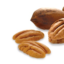 Sanfilippo Nut Experts Pecans