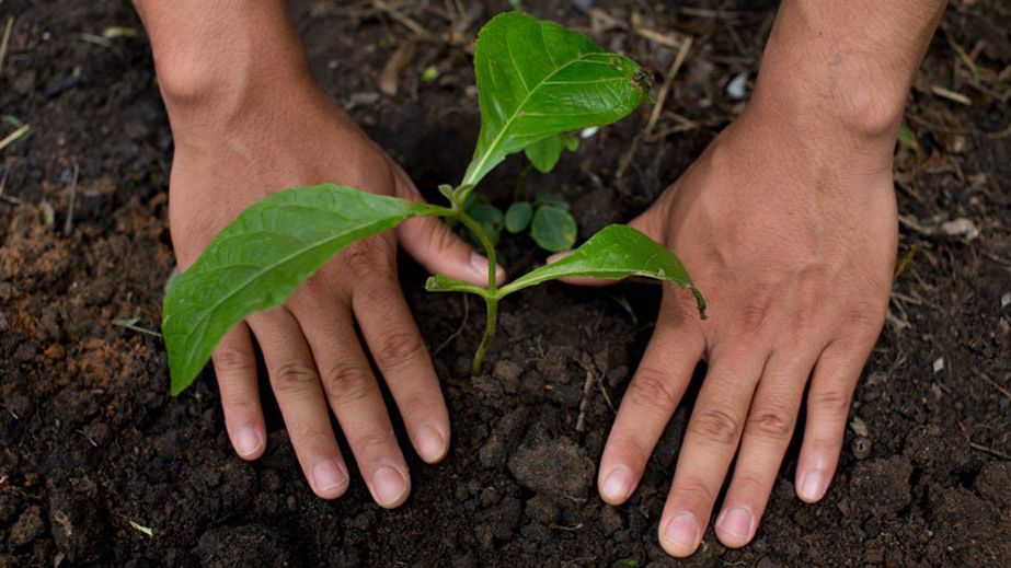 Nestle Regeneration Hero 6149e265aaedb