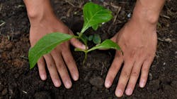 Nestle Regeneration Hero 6149e265aaedb Nestle Regeneration Hero 6149e265aaedb