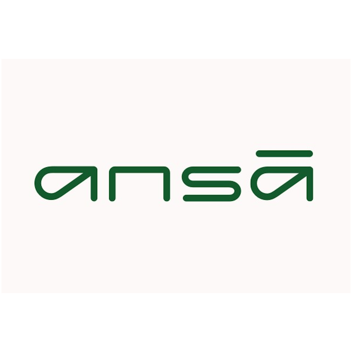 Ansa Copy 4