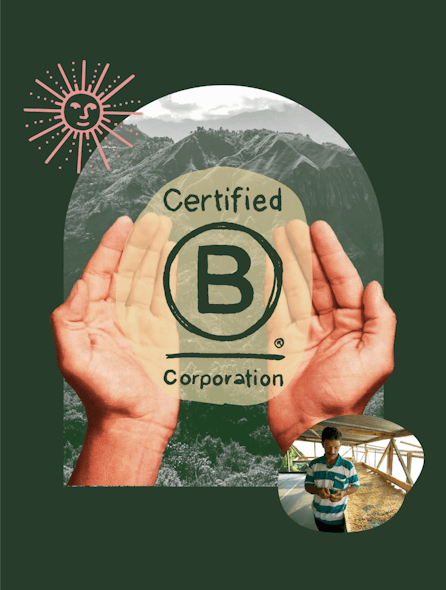 Bcorp Layout 2