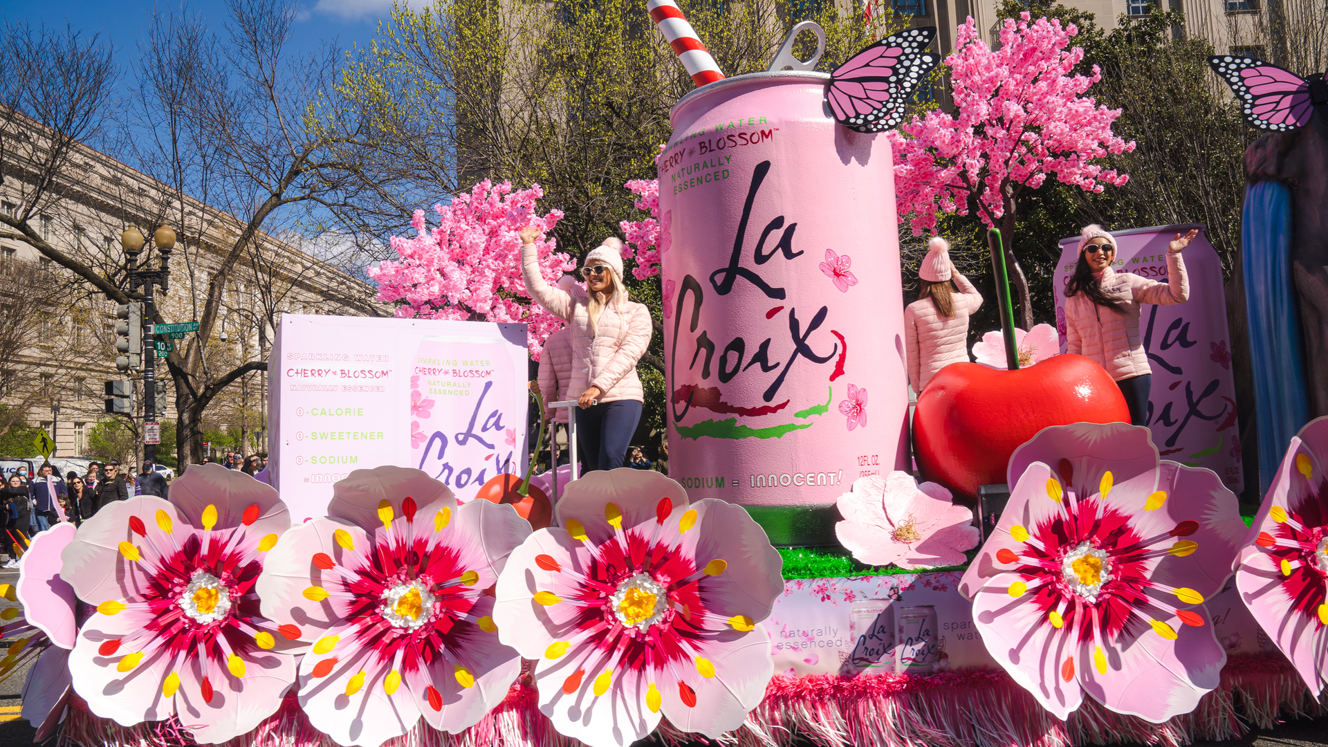 Cherry Blossom Float 62bf039a58225