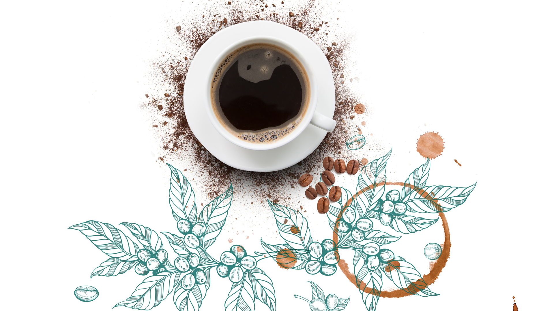 Soi Officecoffee 6321d1cc206f7