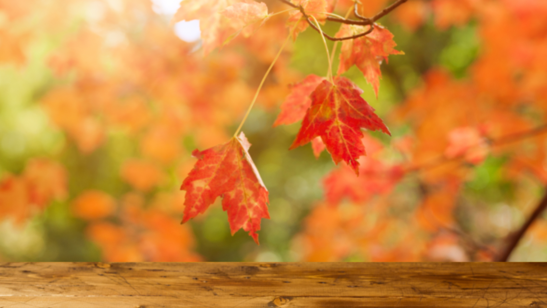 Dreamstime Xl 95727098 632348bf5f1f8