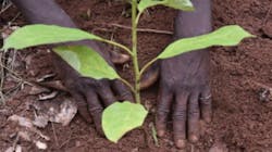 Mars Wrigley 63442ee6abaa6 Mars Wrigley 63442ee6abaa6