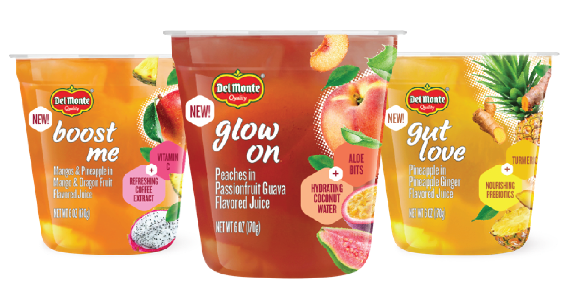 Del Monte Fruit Infusions