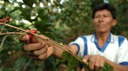 Coffee Farmer Peru 63f771bd3bdba Coffee Farmer Peru 63f771bd3bdba