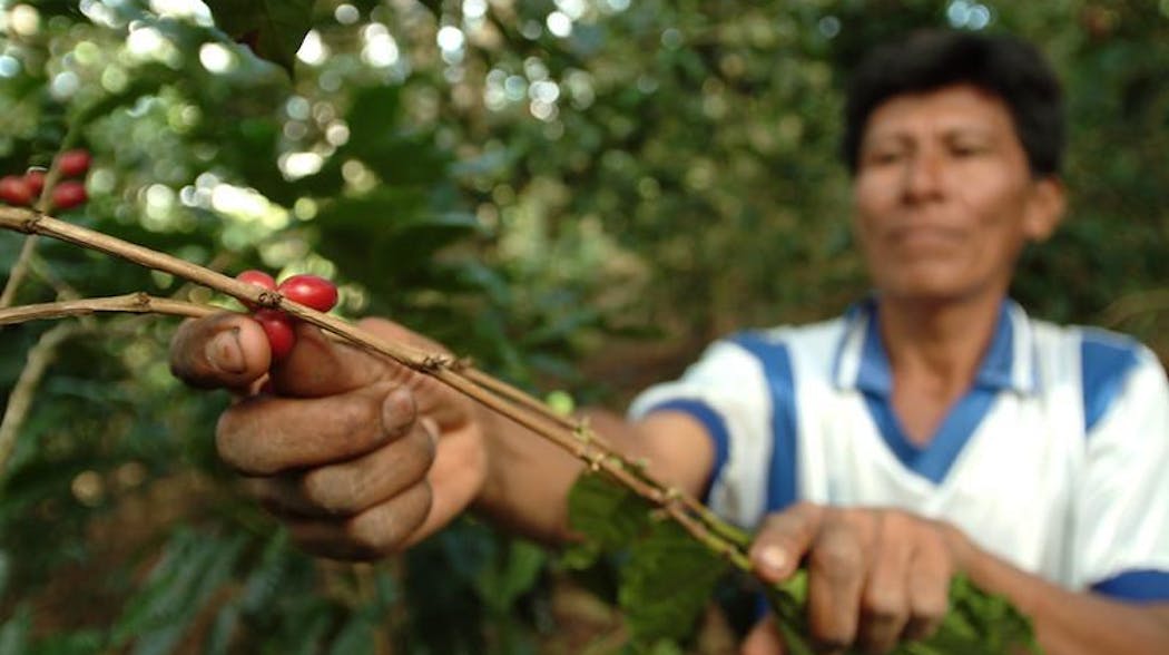 Coffee Farmer Peru