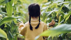 Bewelldowell 63f386110e12b Bewelldowell 63f386110e12b