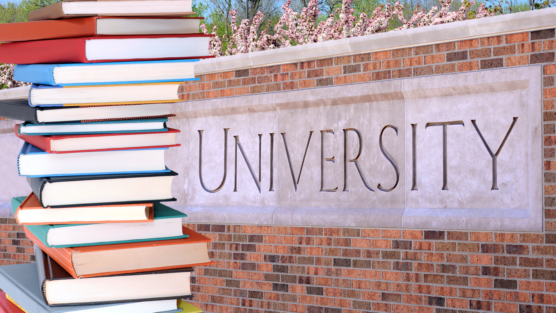 Dreamstime Xxl 31062578 64e8c851805d1