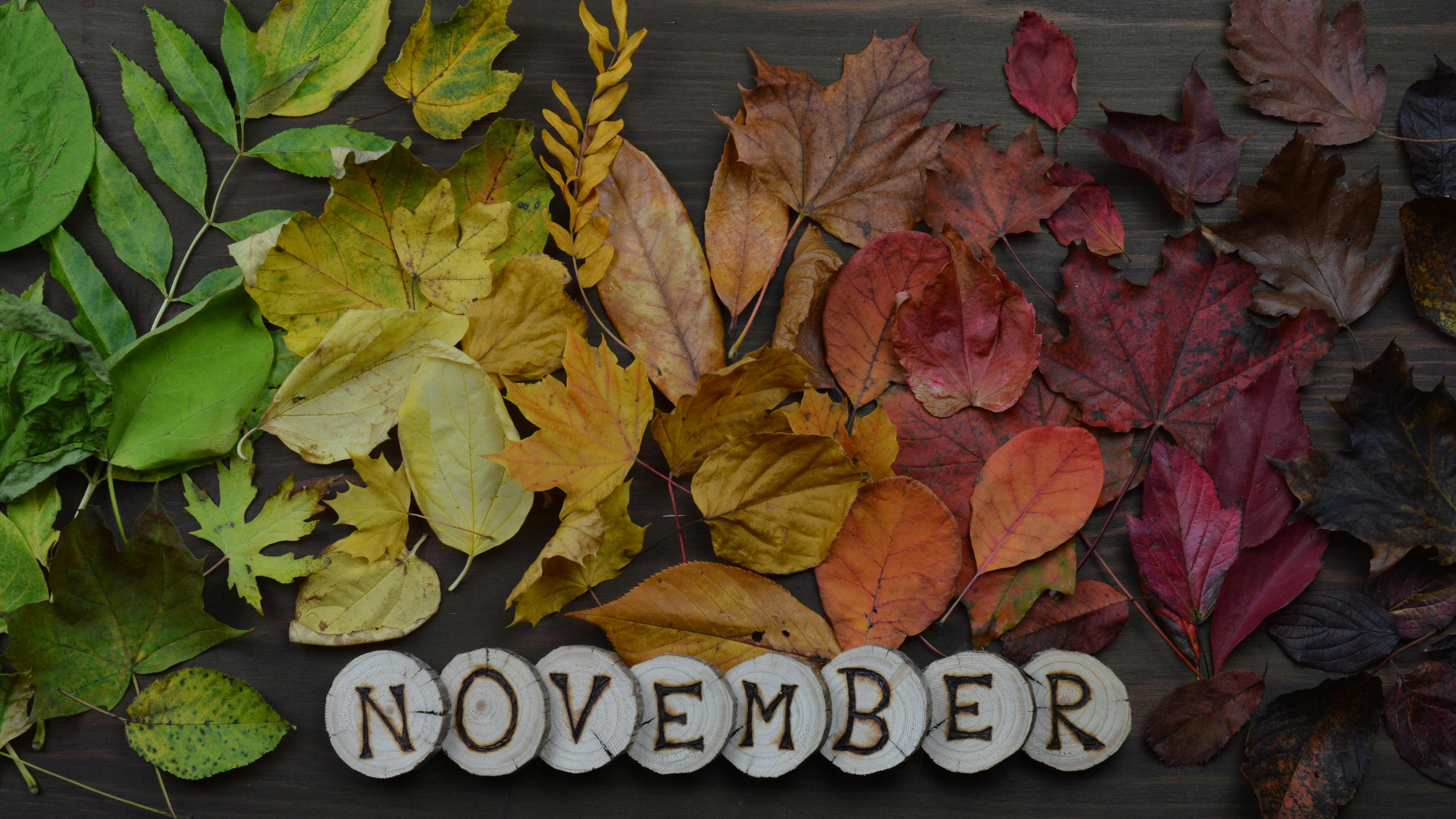 Automatic Merchandiser November issue