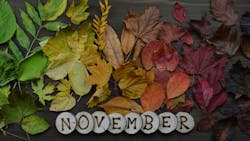 6553c3d5f889aa001e778fae Dreamstime Xl 101724466 6553c3d5f889aa001e778fae Dreamstime Xl 101724466