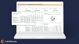 Cantaloupe Seed Analytics