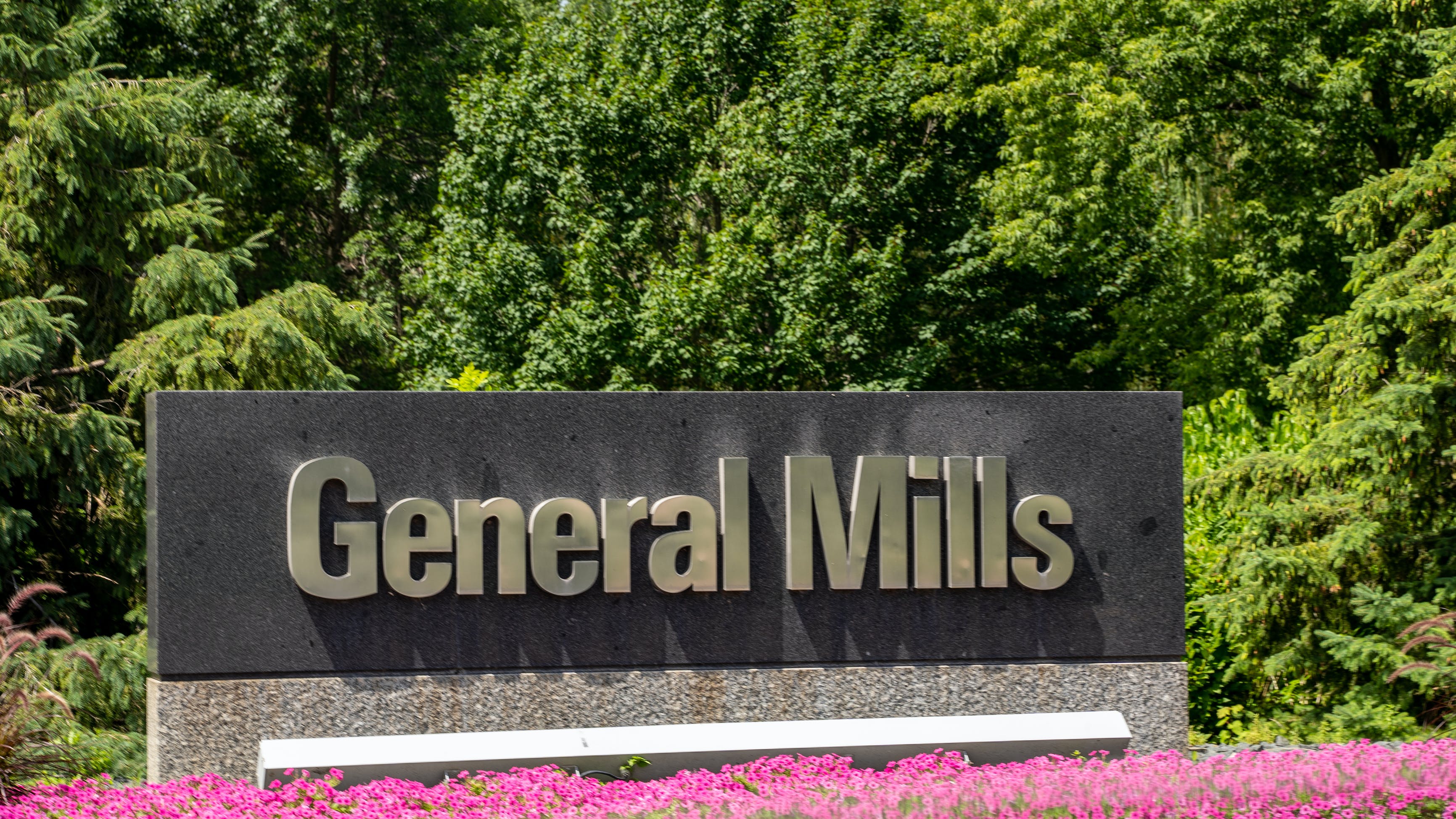 65ca49514a2df0001e7f5293 Dreamstime Xl 153843973