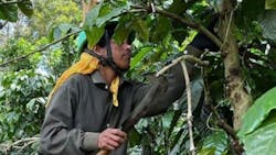 JDE Peet&rsquo;s leads global effort to fight coffee-related deforestation