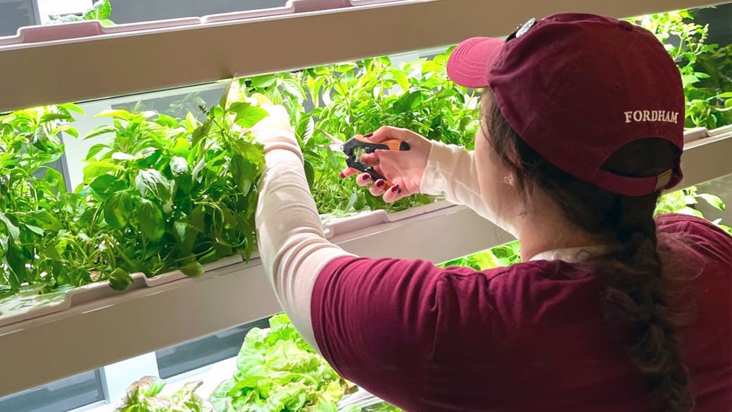 Coolfood Meals drive sustainability progress at Fordham University
