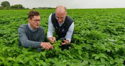 Yara’s digital tools offering, including AtFarm, will be key in scaling up sustainable nutrient management practices and complement PepsiCo’s tools. Yara’s digital tools offering, including AtFarm, will be key in scaling up sustainable nutrient management practices and complement PepsiCo’s tools.