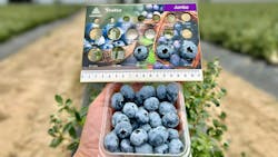 Agrovision Agrovision