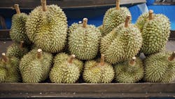 Durian Durian