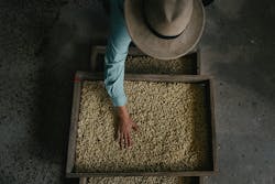 Starbucks agronomist at Hacienda Alsacia (Photo: Business Wire) Starbucks agronomist at Hacienda Alsacia (Photo: Business Wire)
