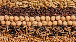 Andria Lo for Voyage Foods Andria Lo for Voyage Foods