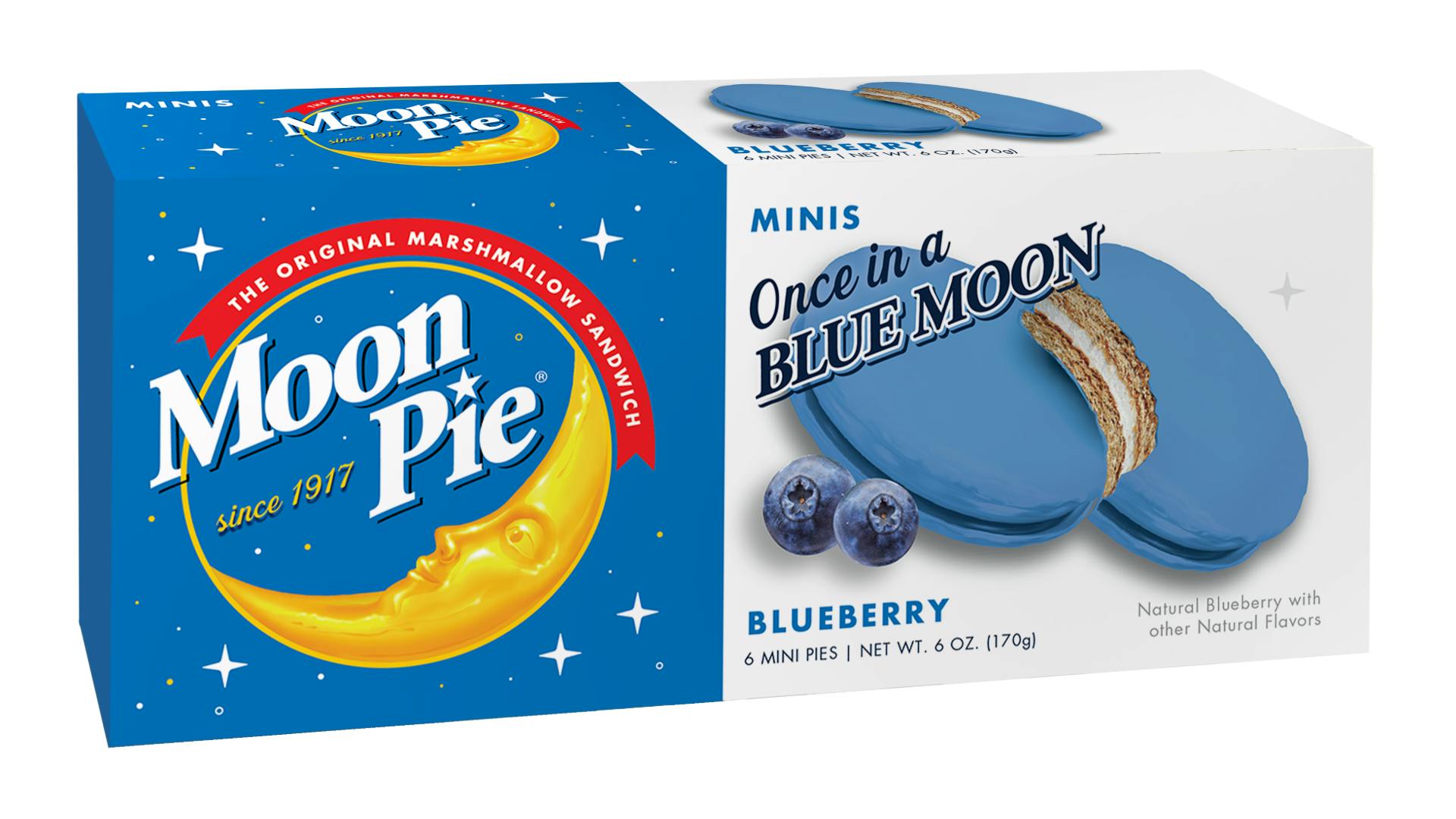 Chattanooga MoonPie Blueberry Minis