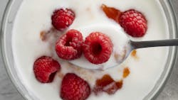 Yogurt with raspberries on top stock image Yogurt with raspberries on top stock image