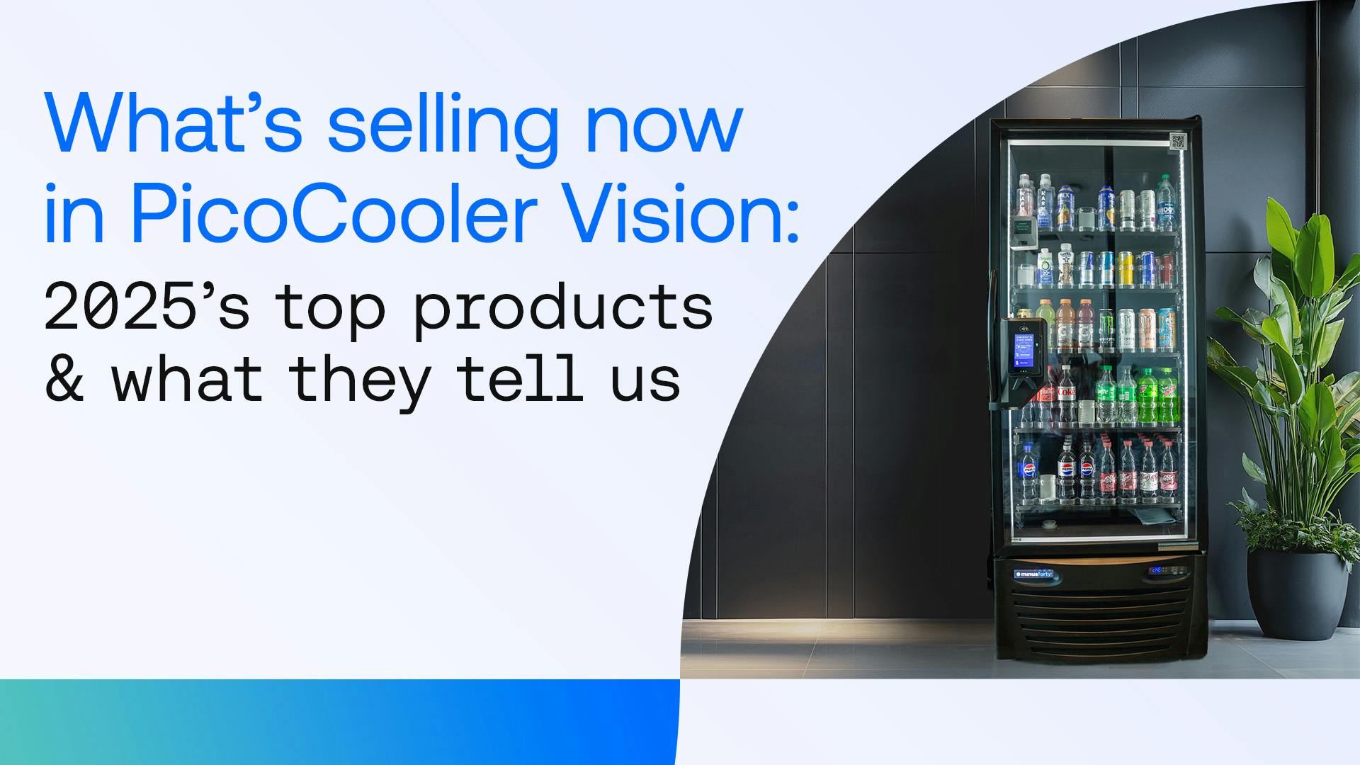 2025: top 10 selling products in in PicoCooler Vision