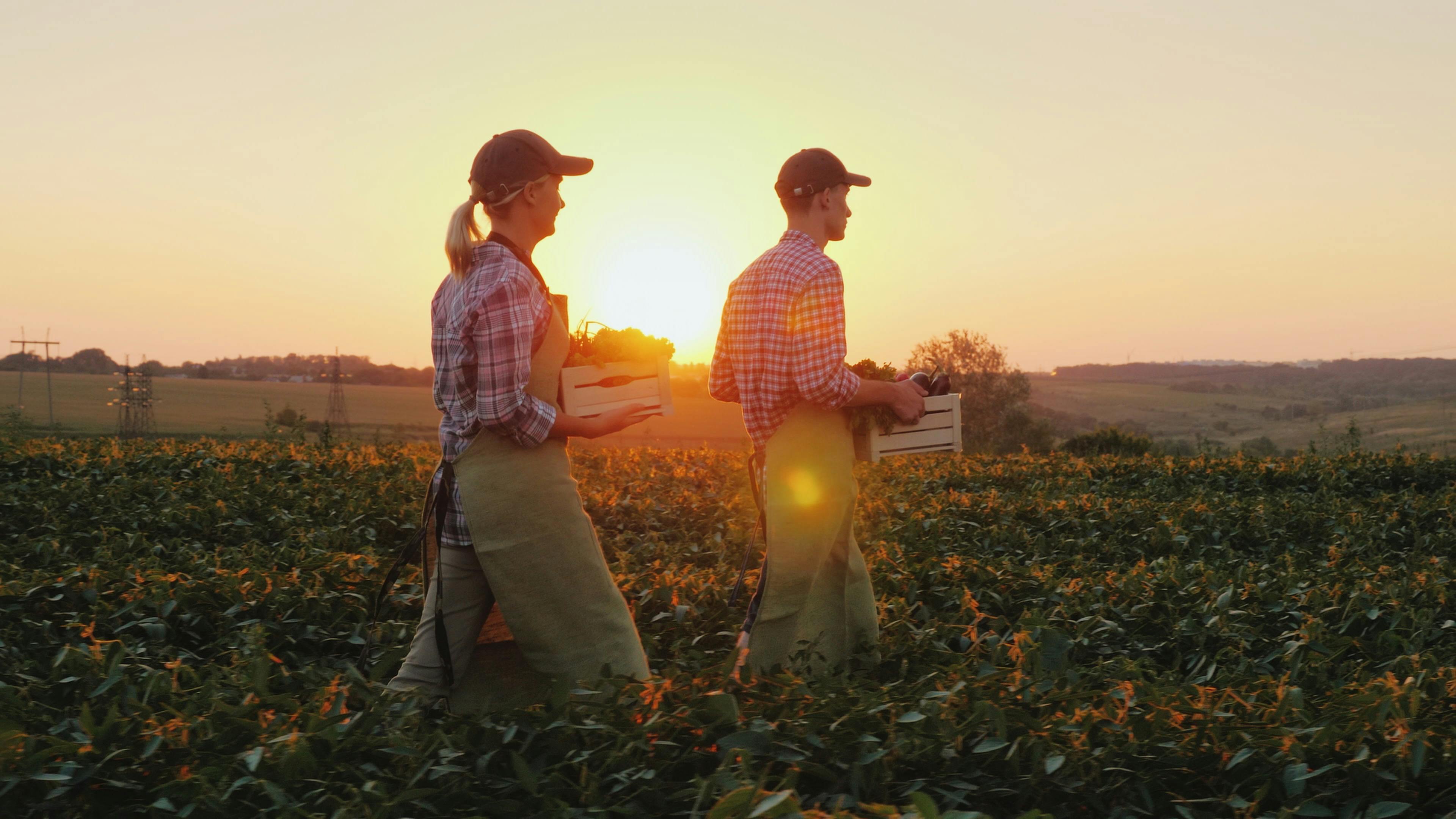 farmers in a field
