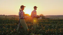 farmers in a field