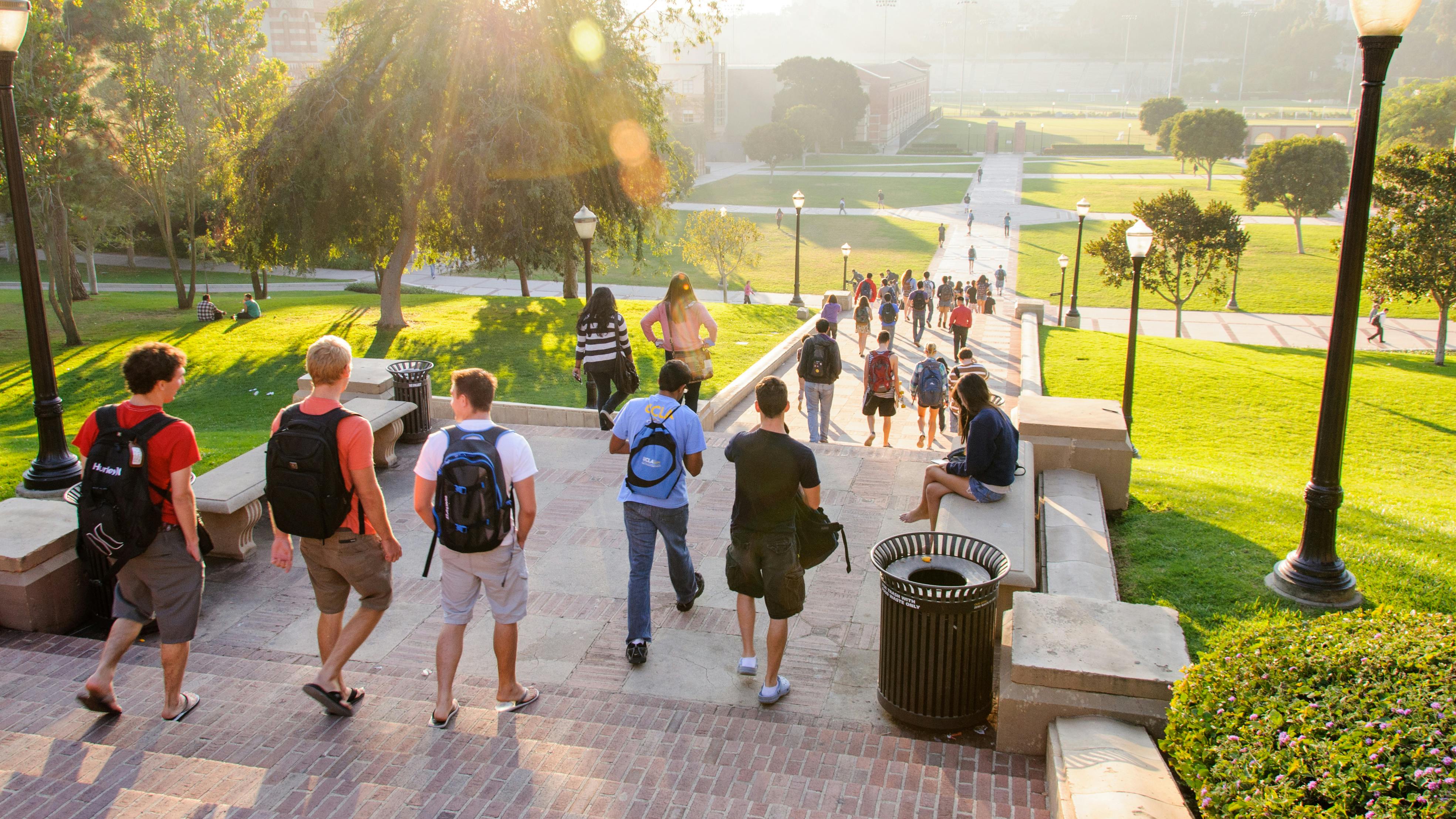 Smoothies, bubble tea lead 2026 campus beverage demand